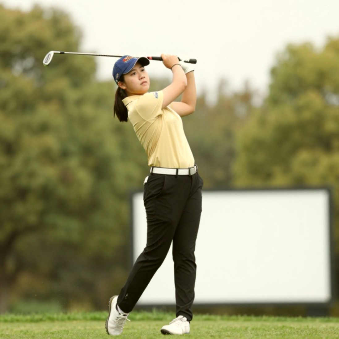 Trang giấy đầy chữ, không một dữ kiện: Làng golf tự lừa mình bằng khối lượng thông tin