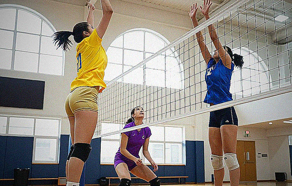 Giải bóng chuyền nam châu Á khởi tranh tại Fukuoka: Nhật Bản và tấm vé Olympic không có ẩn số