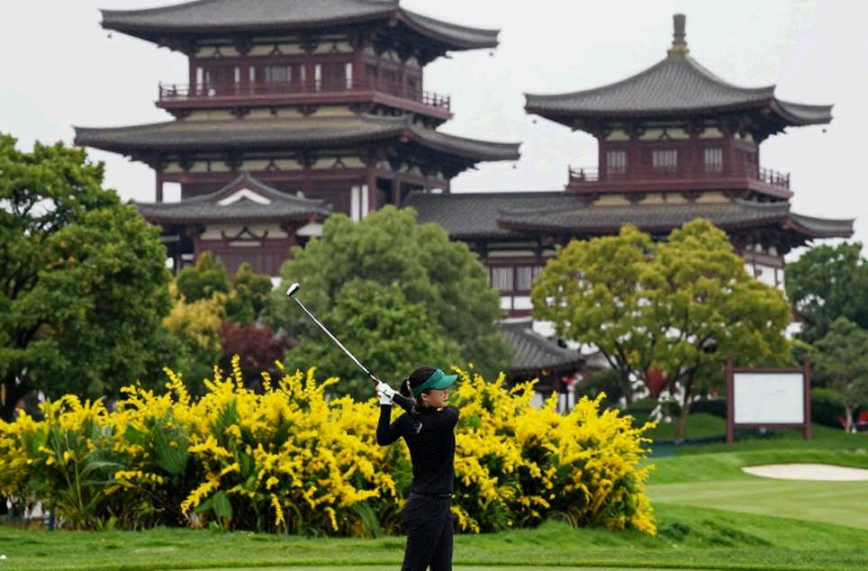 Bảng Điểm Trống Và Nghệ Thuật Kiểm Chứng: Ghi Chép Từ Một Mùa Giải Golf