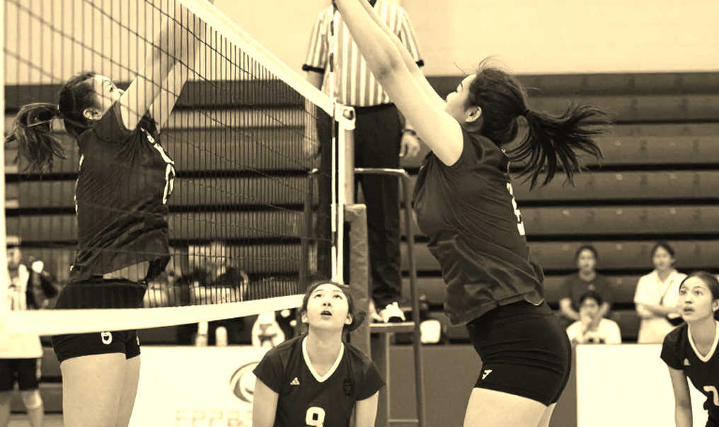 Honda Center in Anaheim becomes a rehearsal venue for Olympic 2028 volleyball: Signals and questions for Vietnamese volleyball Honda Center in Anaheim becomes a rehearsal venue for Olympic 2028 volleyball: Signals and questions for Vietnamese volleyball